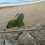 Bed & Breakfast Scogli Bianchi Lido di Noto